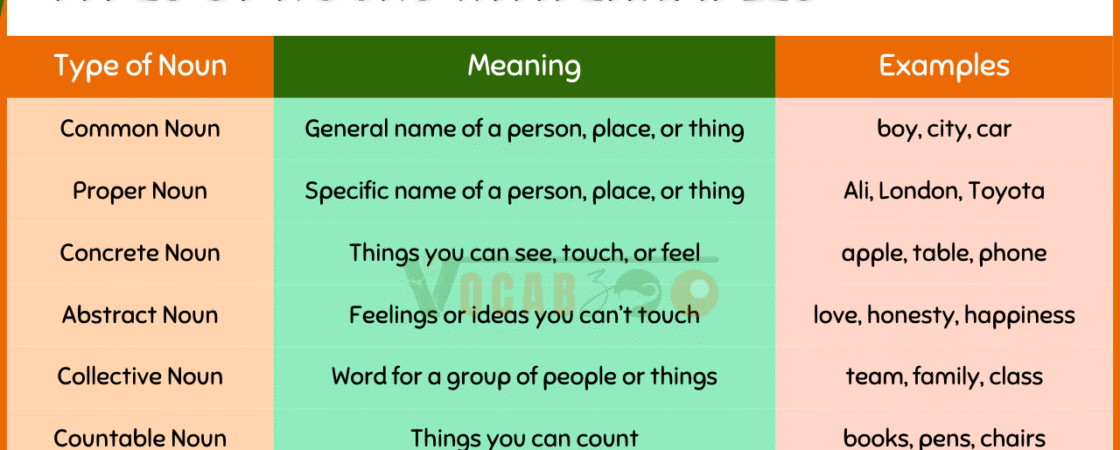 50 Noun Examples in English with Sentences