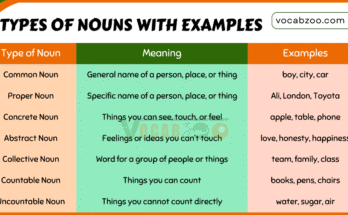 50 Noun Examples in English with Sentences