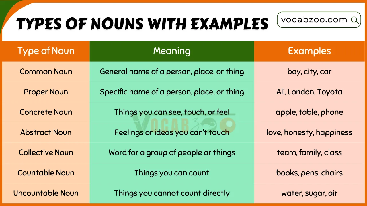 50 Noun Examples in English with Sentences