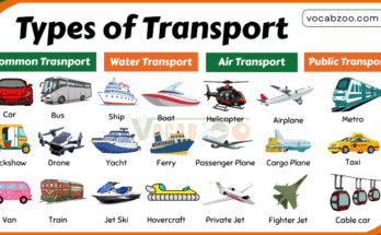 100 Transport Names List in English with Pictures