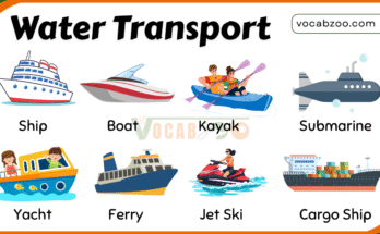 30 Names of Water Transport with Pictures in English