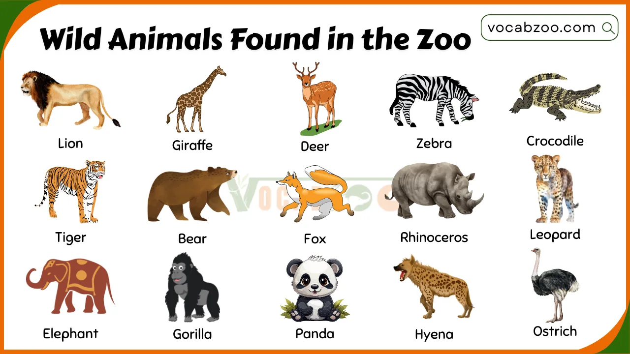 20 Names of Wild Animals Found in the Zoo with Pictures