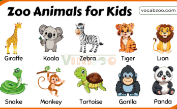 40 Zoo Animal Names for Kids Learning English with Pictures