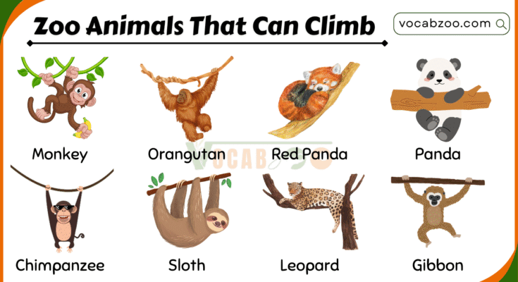 20 Zoo Animals That Can Climb with Their Pictures