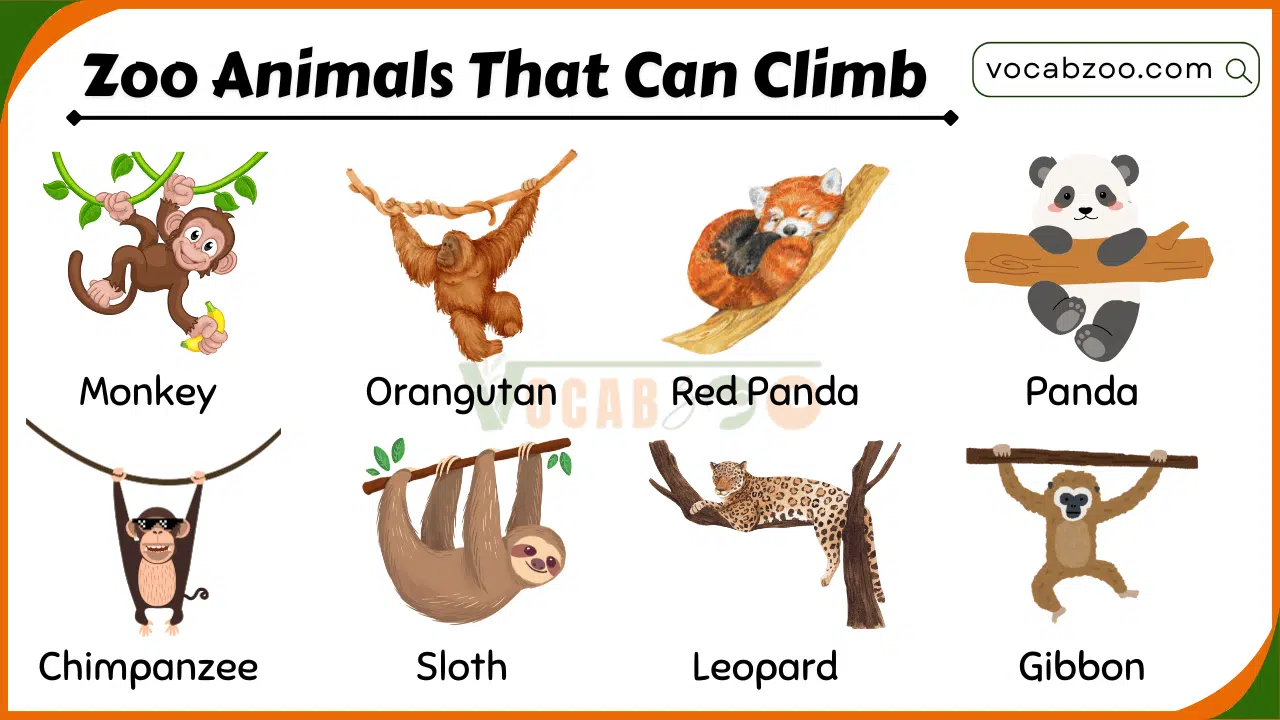 20 Zoo Animals That Can Climb with Their Pictures