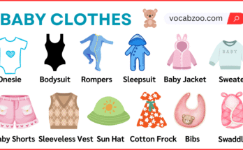 Baby Clothes Name with Their Pictures