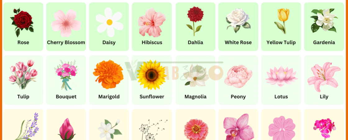 Flowers Name in English with Their Pictures