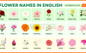 Flowers Name in English with Their Pictures