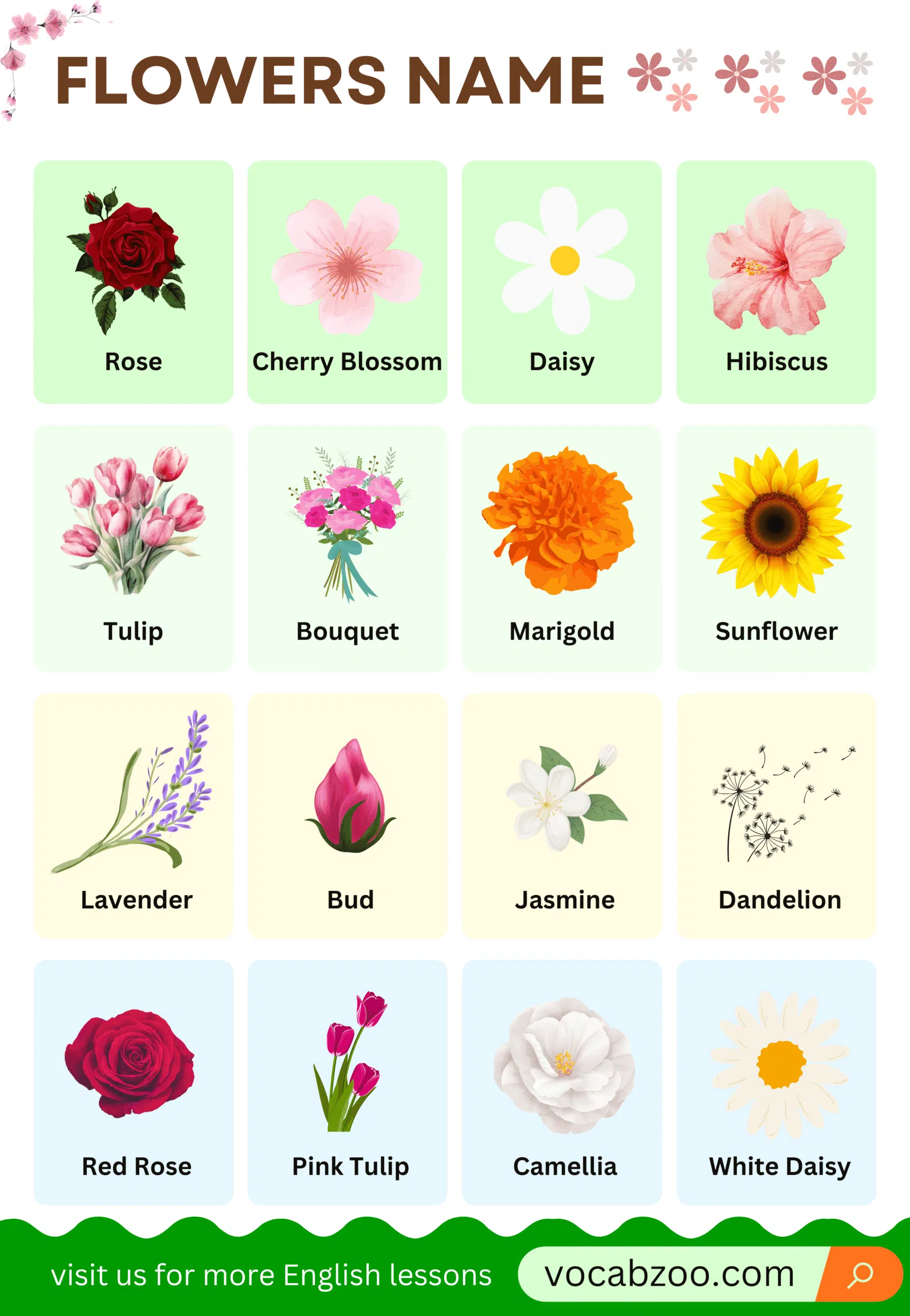 Flowers Name in English with Their Pictures