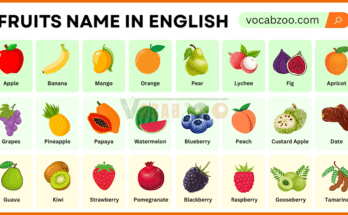 Fruits Name in English with Their Pictures
