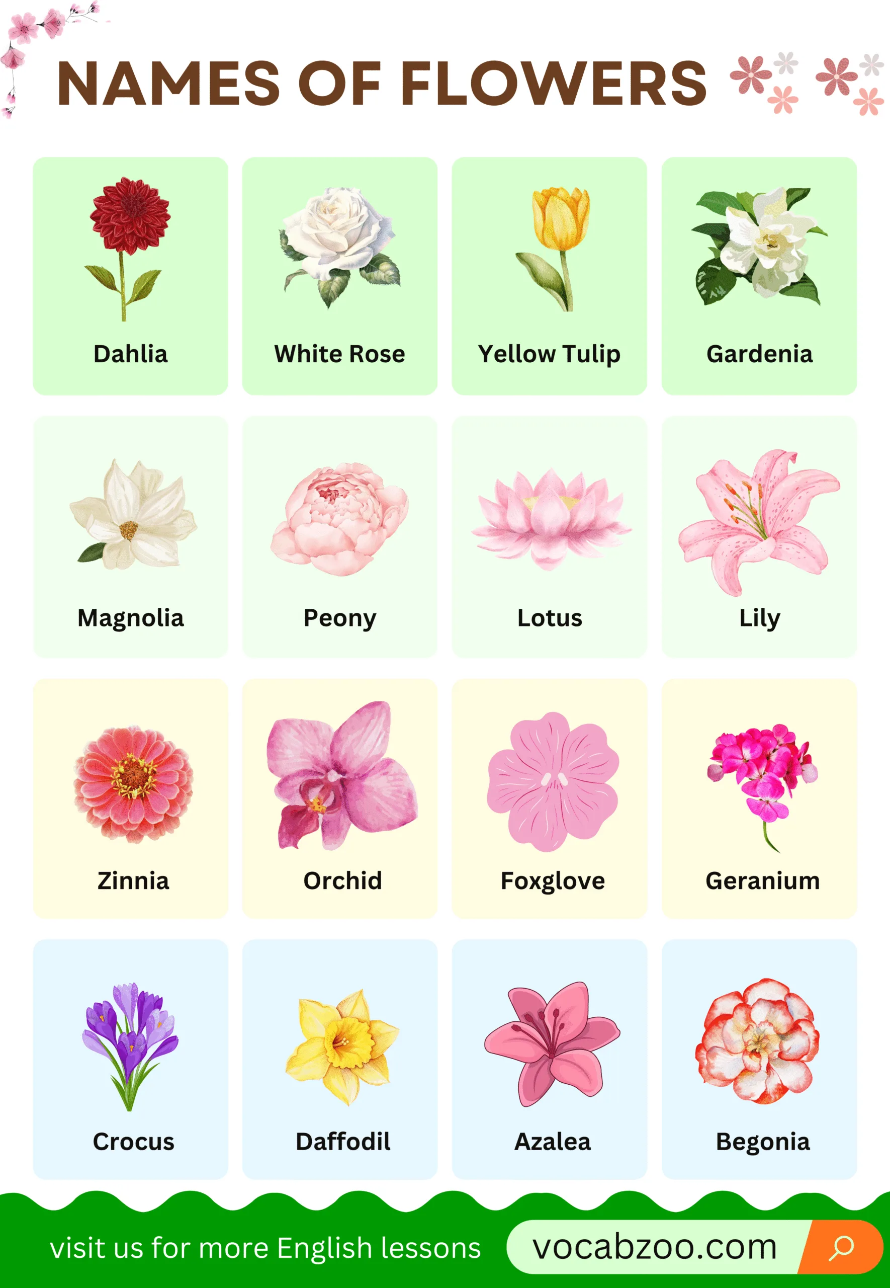 Flower Names in English with Their Pictures - Vocabzoo, image size:1770x2560