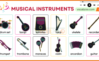 Names of Musical Instruments with Their Pictures