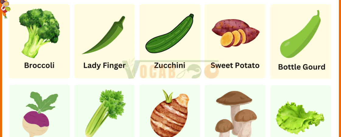 Vegetable Names in English with Their Pictures