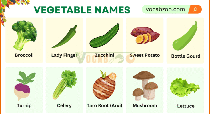 Vegetable Names in English with Their Pictures