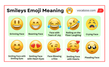 Smileys Emoji Meaning and Usage with Pictures