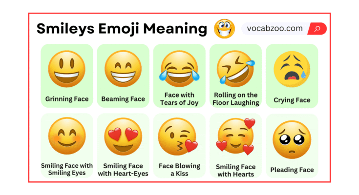 Smileys Emoji Meaning and Usage with Pictures