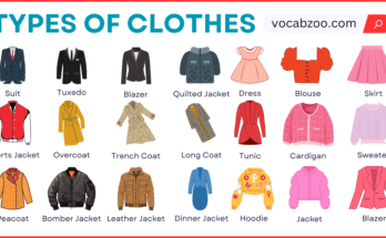 Types of Clothes in English with Their Pictures
