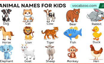 Animal Names for Kids with Pictures