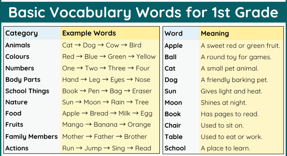 Vocabulary List for 1st Grade with Meanings