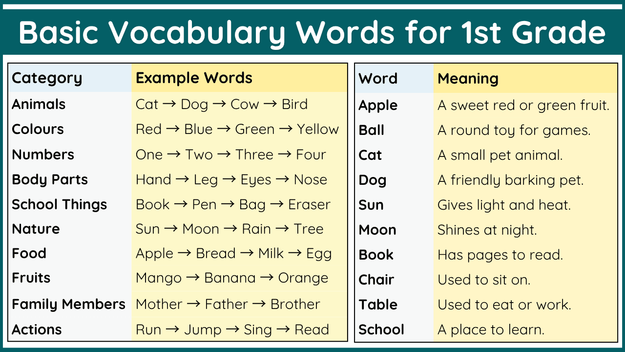 Vocabulary List for 1st Grade with Meanings
