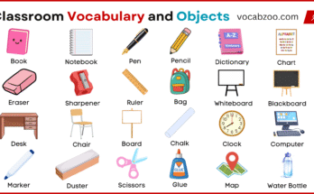 Classroom Vocabulary for Students with Pictures