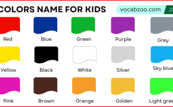 Colors Name for Kids in English | Easy Way to Learn Colors Name
