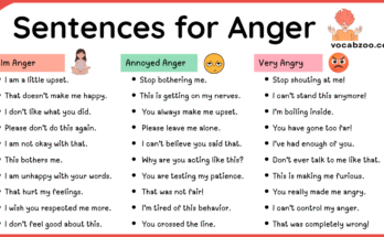 100 Sentences for Anger in English