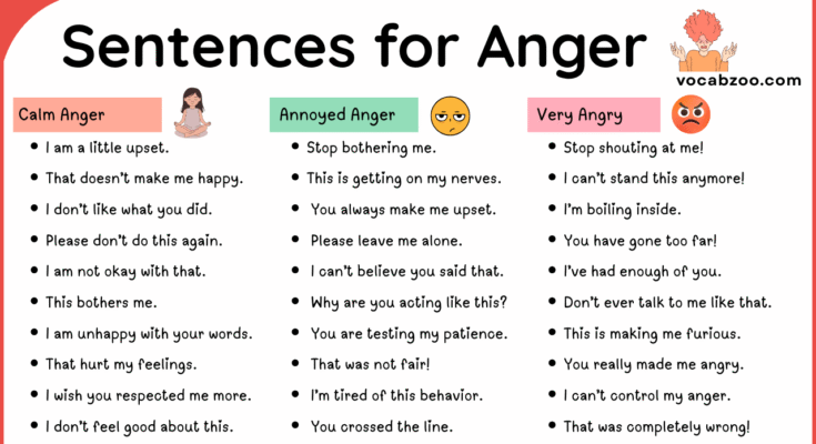 100 Sentences for Anger in English