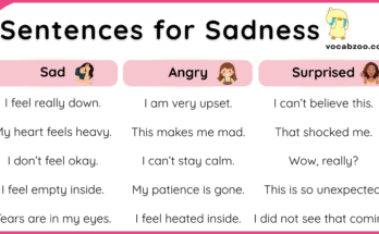30+ Short English Sentences for Sadness