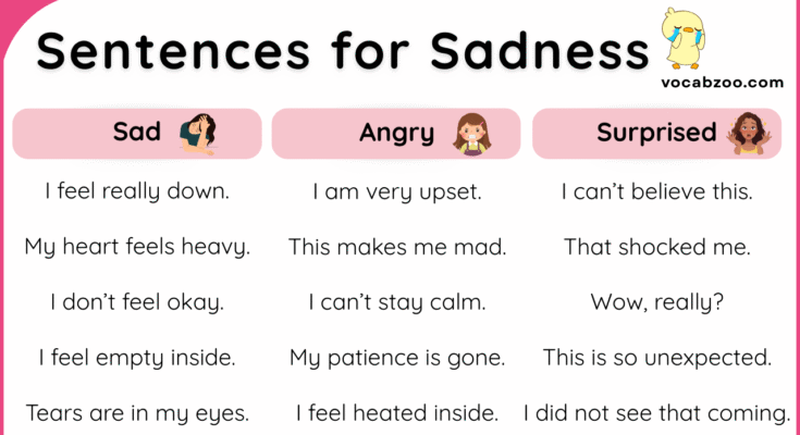 30+ Short English Sentences for Sadness