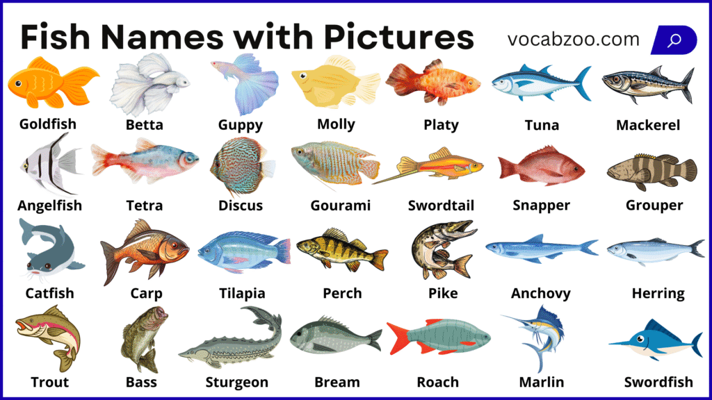 45+ Fish Names in English with Their Pictures - Vocabzoo
