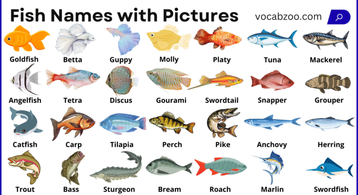 45+ Fish Names in English with Their Pictures