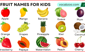 Fruit Names for Kids with Their Pictures