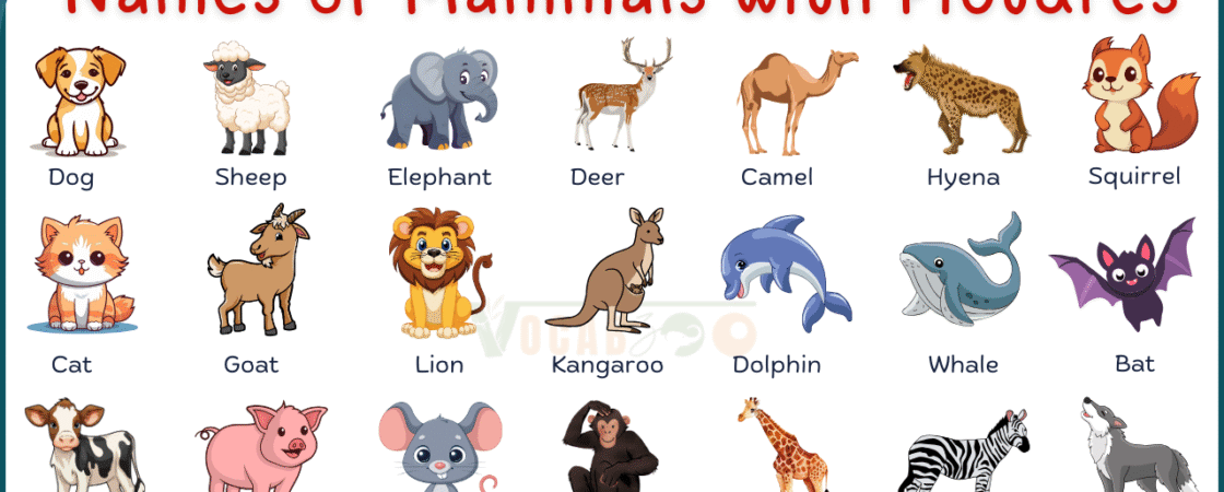 List of 100 Mammals Animals in English with Pictures