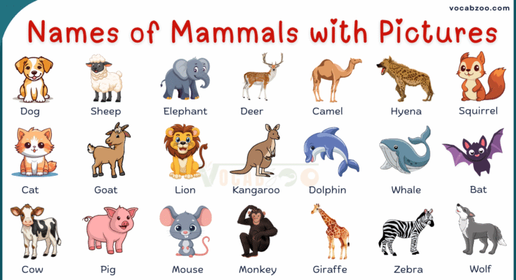 List of 100 Mammals Animals in English with Pictures