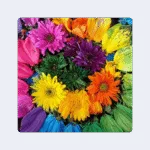 Rainbow’s End Flower