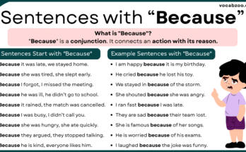 Sentence with Because | Use of Because in Sentences