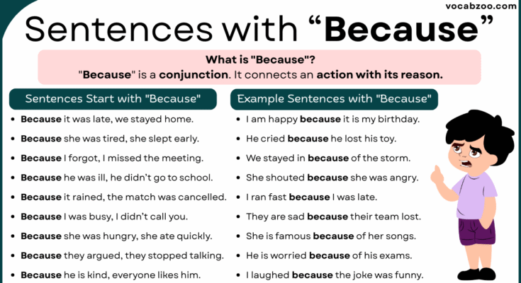 Sentence with Because | Use of Because in Sentences