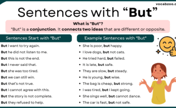 Sentences with But | Use of But in English Sentences