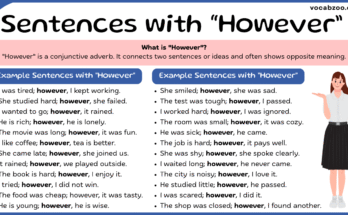 Sentences with However | Use of However in Sentences