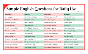 Simple English Questions for Daily Use