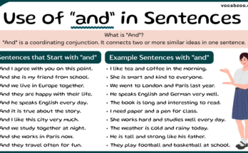 Sentences with and | Use of and in Sentences