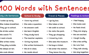100 Daily Use Vocabulary Words with Sentences