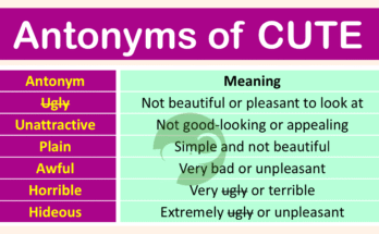 Antonyms of Cute with Meanings and Examples