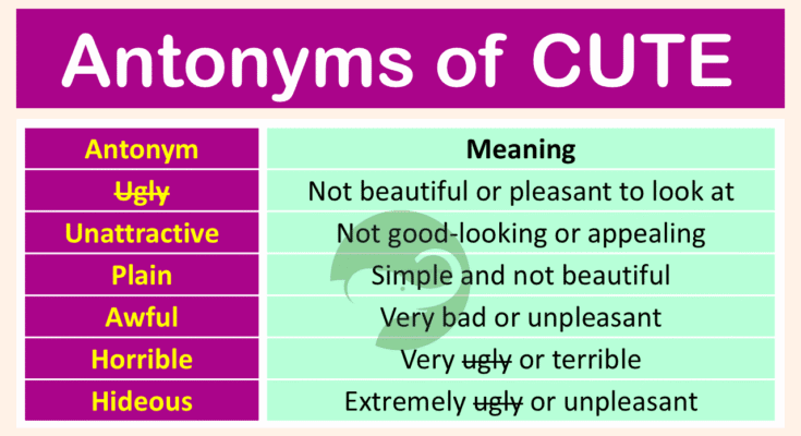 Antonyms of Cute with Meanings and Examples