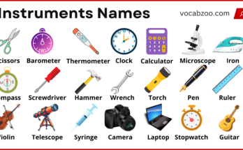 Instruments Names in English with Pictures