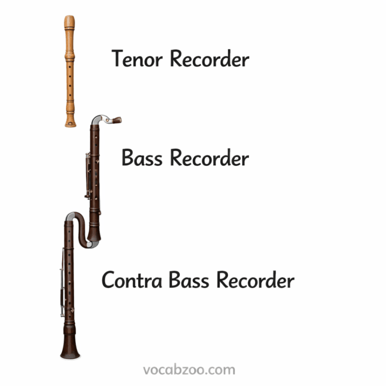 Recorder Instrument Names, Types, and Uses in English - Vocabzoo
