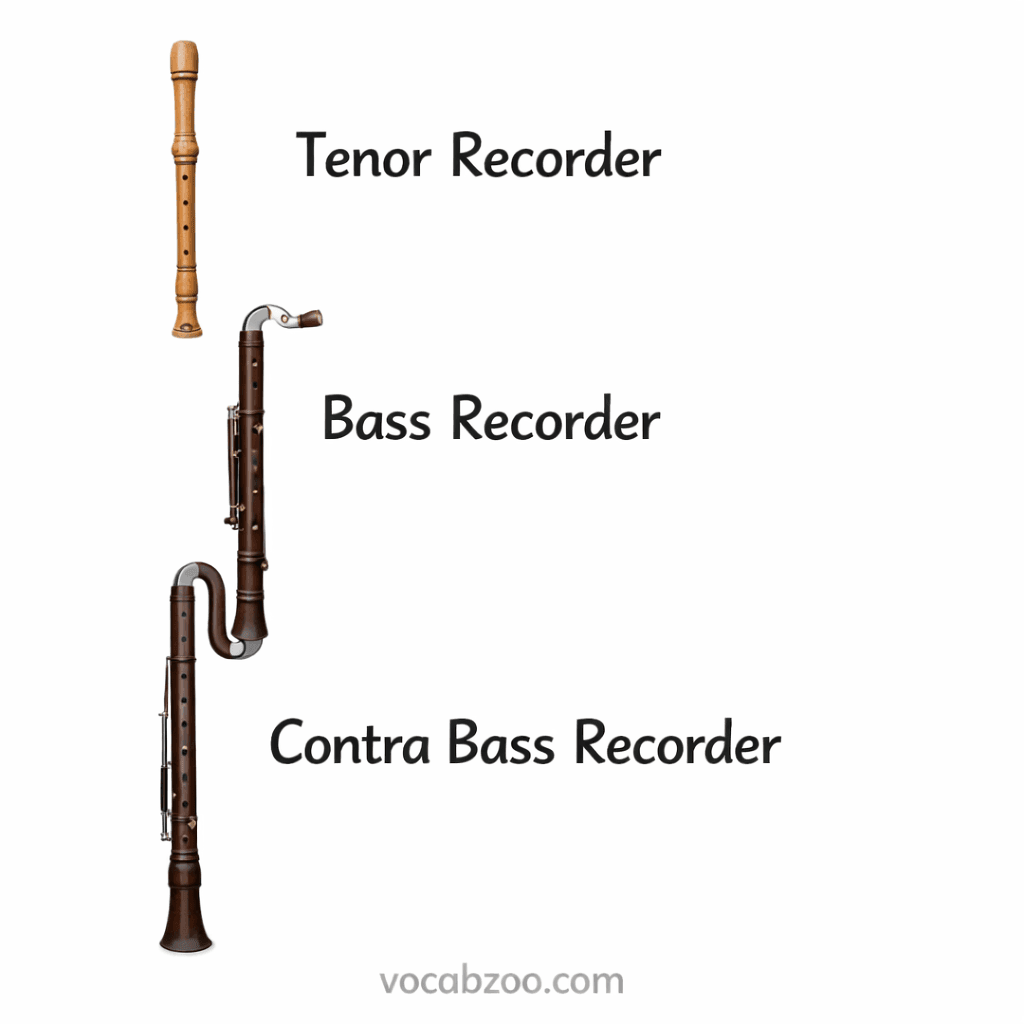 Recorder Instrument Names, Types, and Uses in English - Vocabzoo