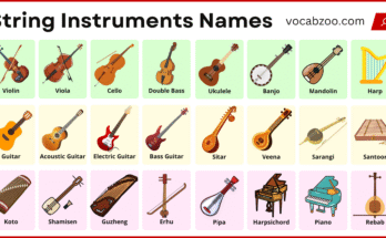 String Instruments List with Pictures and Names