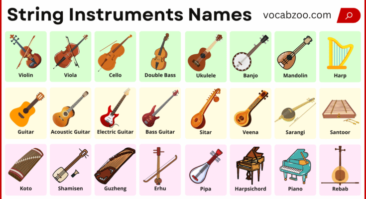 String Instruments List with Pictures and Names